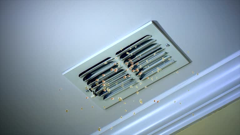 Best Air Duct Cleaning Company Near Me  in Diamond Ridge, AK
