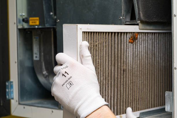 Best Ventilation Cleaning Services  in Diamond Ridge, AK